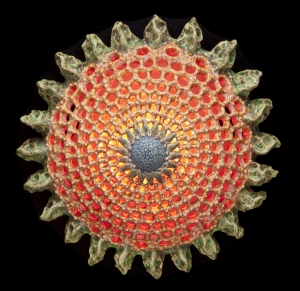 Echinodermata