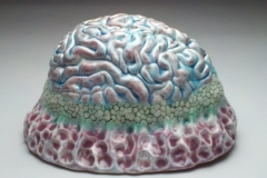 Brain (2)