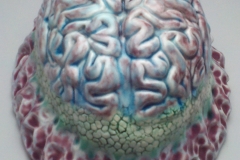 Brain (4)